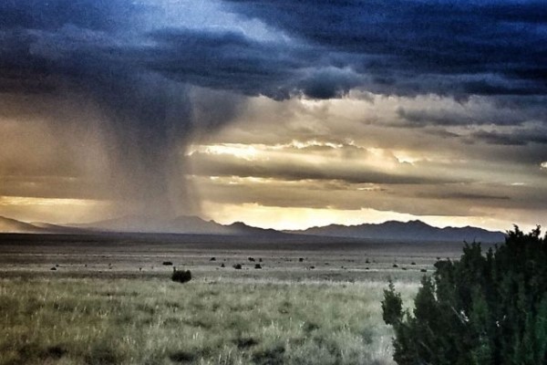 Monsoon Picture